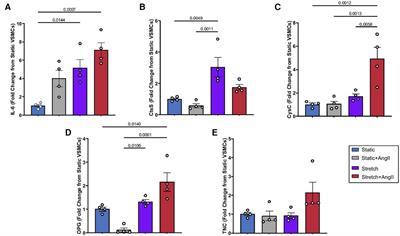 Biomechanical dysregulation of SGK-1 dependent aortic pathologic markers in hypertension